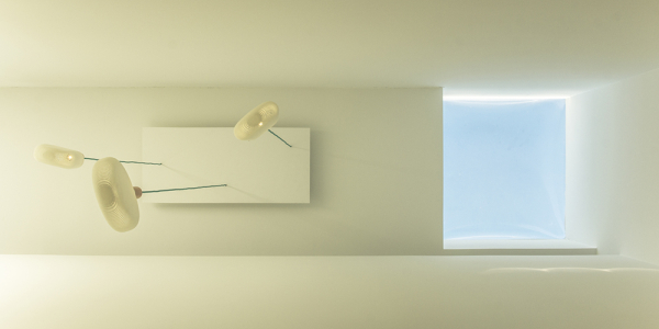 Arjen Reas Architecten House Z b